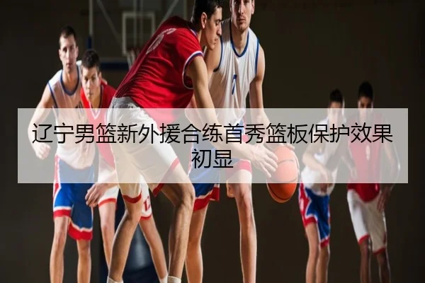 辽宁男篮新外援合练首秀篮板保护效果初显